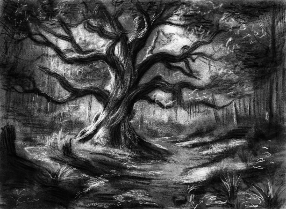 A drawing of a tree and a stream.
